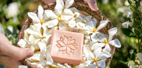 在生態友好的旅途中，愛上泰順 可持續旅游項目開發與管理的探索